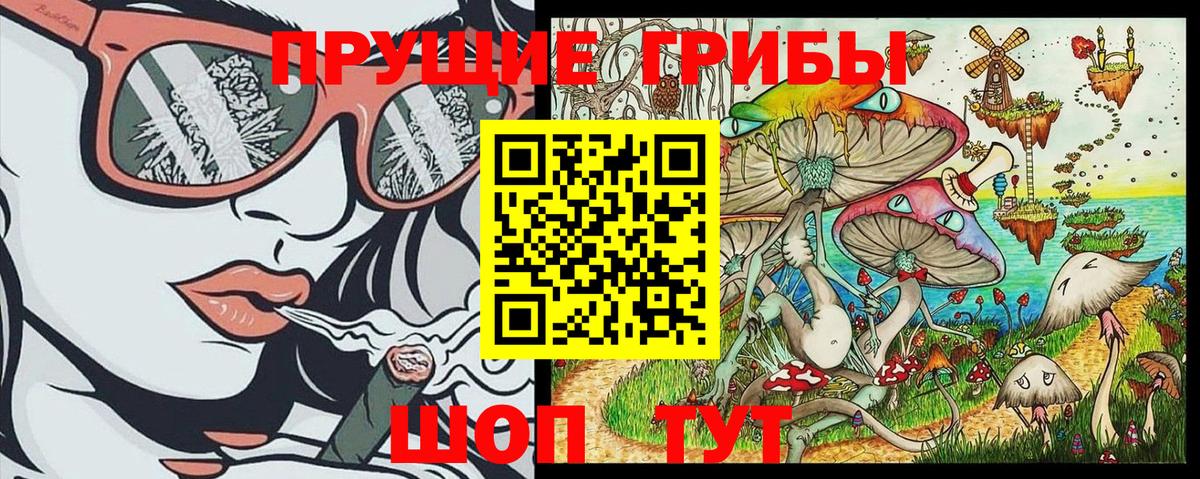 Псилоцибиновые грибы GOLDEN TEACHER Кудрово